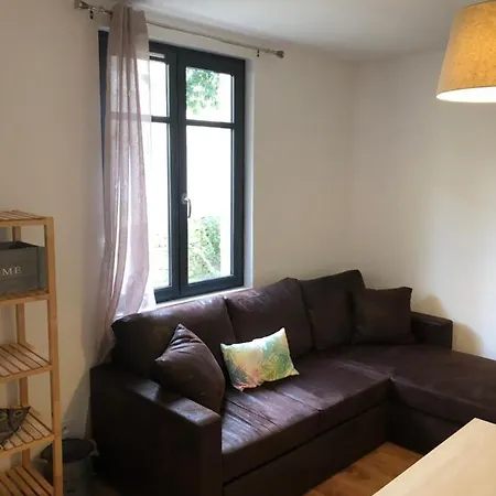 Appartement Au Vieux Lavoir Avec Parking Prive, Jardin , Climatisation, A 500 M De La Cite Carcassonne