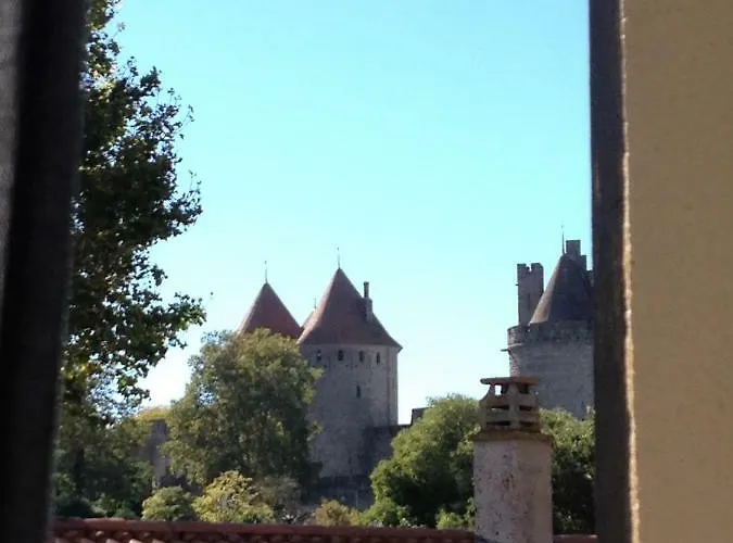 Au Vieux Lavoir Avec Parking Prive, Jardin , Climatisation, A 500 M De La Cite 公寓 卡尔卡松