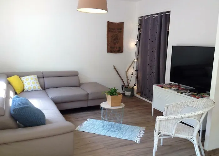 Au Vieux Lavoir Avec Parking Prive, Jardin , Climatisation, A 500 M De La Cite * Carcassonne