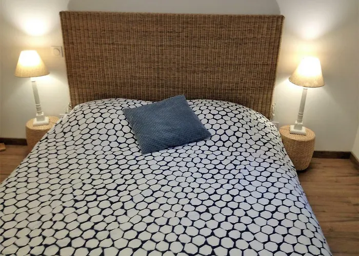 Au Vieux Lavoir Avec Parking Prive, Jardin , Climatisation, A 500 M De La Cite Apartamento