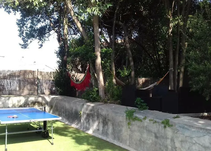 公寓 Au Vieux Lavoir Avec Parking Prive, Jardin , Climatisation, A 500 M De La Cite 卡尔卡松