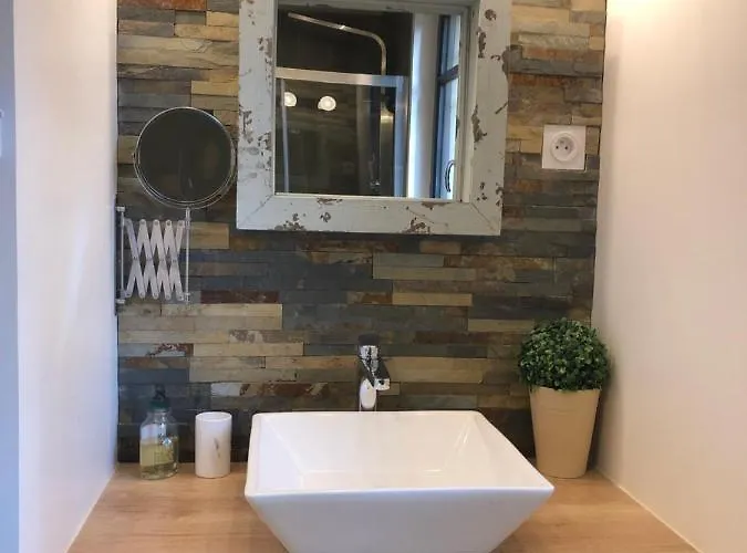 Au Vieux Lavoir Avec Parking Prive, Jardin , Climatisation, A 500 M De La Cite Carcassonne