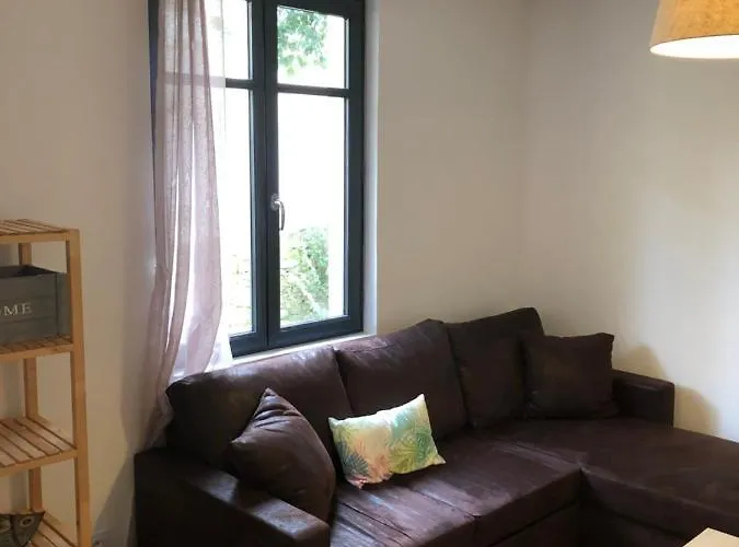 Apartamento Au Vieux Lavoir Avec Parking Prive, Jardin , Climatisation, A 500 M De La Cite Carcassonne